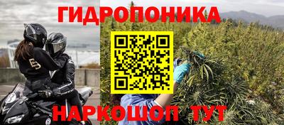 индика Можайск