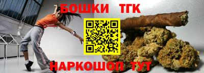 индика Можайск