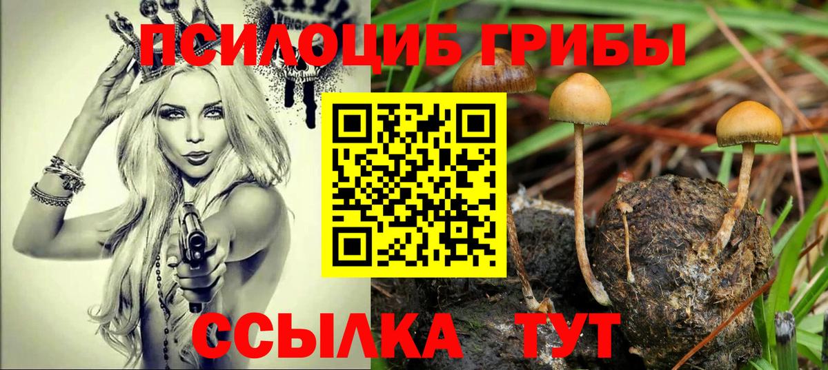 Шадринск  Галлюциногенные грибы мухоморы  Вход с VPN 
