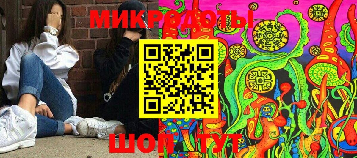 Псилоцибиновые грибы Cubensis Шадринск